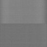 Thumbnail for dataset Whole_brain_WT_20170822_32034