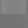 Thumbnail for dataset Whole_brain_WT_20170822_32246