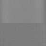 Thumbnail for dataset Whole_brain_WT_20170822_32606