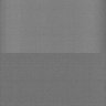 Thumbnail for dataset Whole_brain_WT_20170822_32819