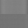 Thumbnail for dataset Whole_brain_WT_20170822_32926