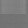 Thumbnail for dataset Whole_brain_WT_20170822_33711