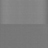 Thumbnail for dataset Whole_brain_WT_20170822_34244