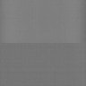 Thumbnail for dataset Whole_brain_WT_20170822_34351
