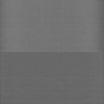 Thumbnail for dataset Whole_brain_WT_20170822_34711