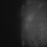Thumbnail for dataset Fig5_Whole_brain_imaging12_20180410_231243