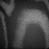 Thumbnail for Fig5_Whole_brain_imaging13_20180410_231512