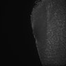 Thumbnail for dataset Fig5_Whole_brain_imaging26_20180410_235328