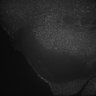 Thumbnail for dataset Fig5_Whole_brain_imaging48_20180411_05913
