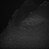 Thumbnail for dataset Fig5_Whole_brain_imaging50_20180411_10512