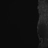 Thumbnail for Fig5_Whole_brain_imaging51_20180411_10812