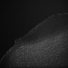 Thumbnail for dataset Fig5_Whole_brain_imaging54_20180411_11717