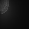 Thumbnail for dataset Fig5_Whole_brain_imaging55_20180411_12018