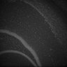 Thumbnail for Fig5_Whole_brain_imaging60_20180411_13531