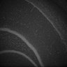 Thumbnail for Fig5_Whole_brain_imaging61_20180411_13832