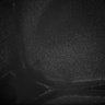 Thumbnail for dataset Fig5_Whole_brain_imaging71_20180411_20914