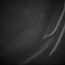 Thumbnail for dataset Fig5_Whole_brain_imaging72_20180411_21218