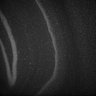 Thumbnail for Fig5_Whole_brain_imaging73_20180411_21524