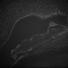 Thumbnail for Fig5_Whole_brain_imaging77_20180411_22754
