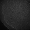 Thumbnail for dataset Fig5_Whole_brain_imaging81_20180411_24023