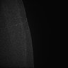 Thumbnail for dataset Fig5_Whole_brain_imaging83_20180411_24640