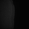 Thumbnail for dataset Fig5_Whole_brain_imaging88_20180411_30227