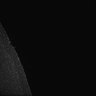 Thumbnail for dataset Fig5_Whole_brain_imaging89_20180411_30535