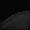 Thumbnail for dataset Fig5_Whole_brain_imaging104_20180411_35439