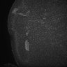 Thumbnail for dataset Fig5_Whole_brain_imaging115_20180411_43114