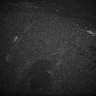 Thumbnail for dataset Fig5_Whole_brain_imaging127_20180411_50909