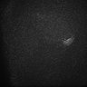 Thumbnail for dataset Fig5_Whole_brain_imaging134_20180411_53027
