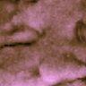 Thumbnail for 269-Wang-CellPhysicalDyn