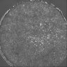 Thumbnail for 389-Watabe-PGE2discharge