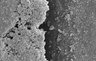 Thumbnail for 101-Oshima-ToothBioImplant