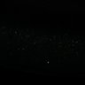 Thumbnail for 68-Sakaguchi-NeuronFluo