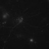 Thumbnail for 197-Bannai-CalciumIonSignaling