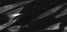 Thumbnail for 227-Egoshi-RamanImaging